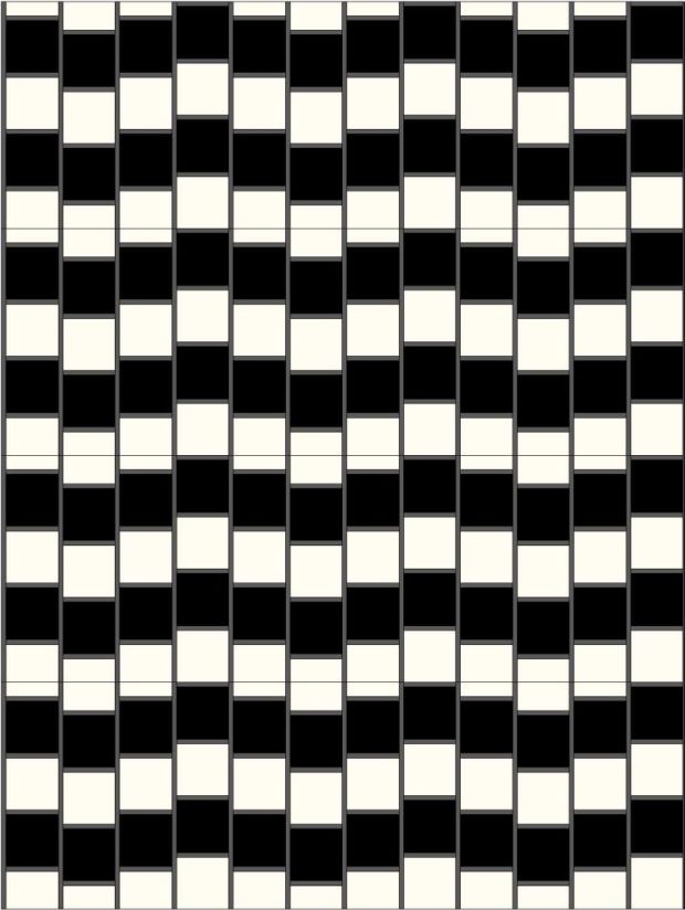 20140905_optical_illusion